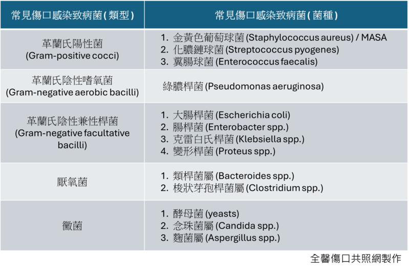 傷口感染常見菌種